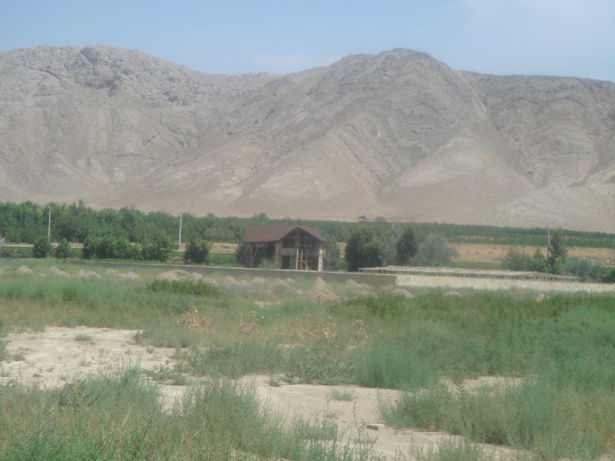 DSC00775
