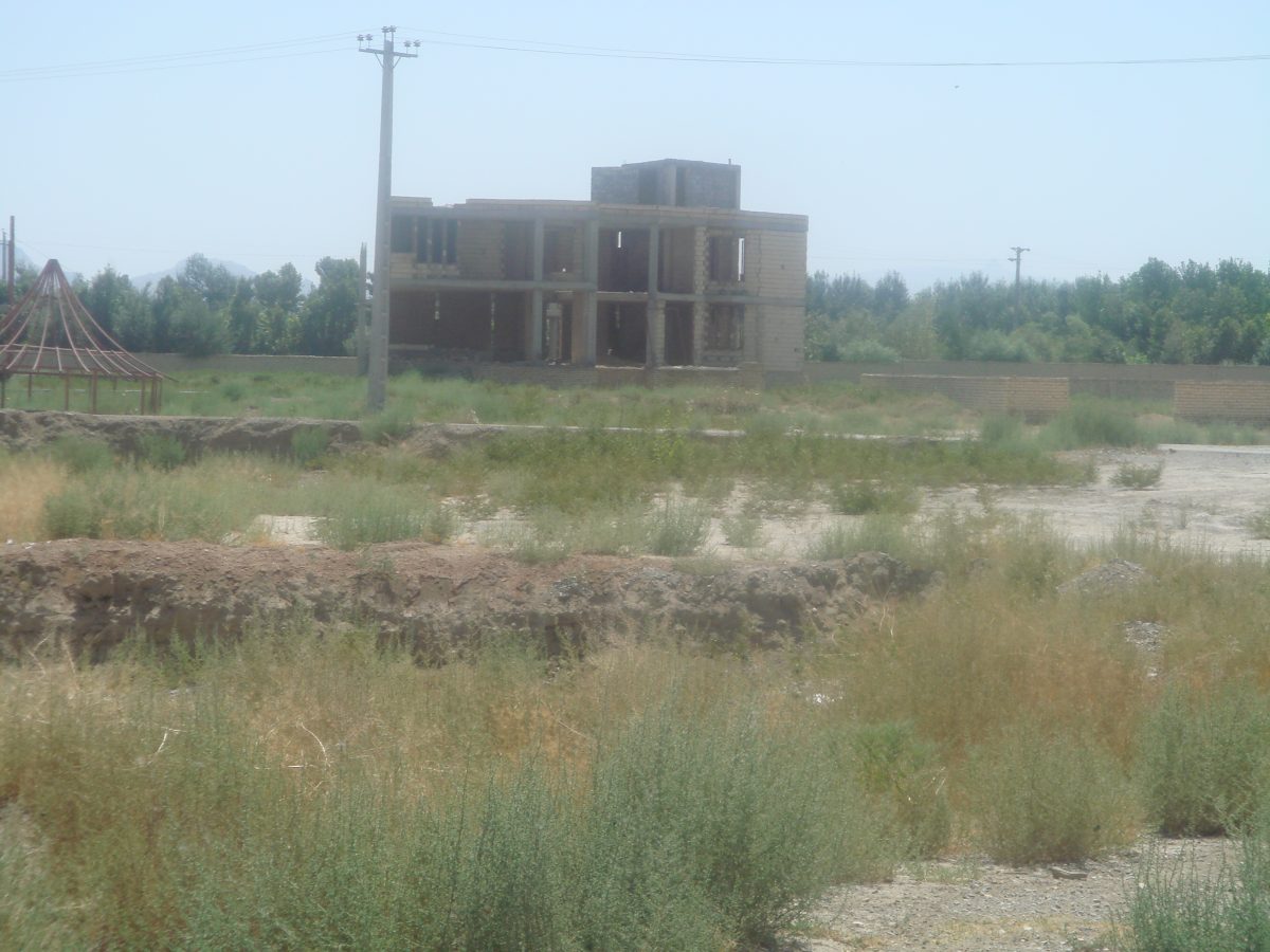 DSC00780