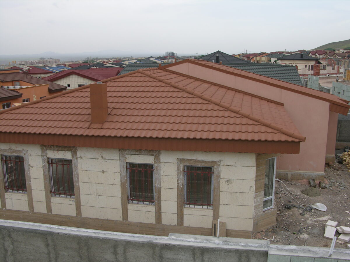 DSCN6602