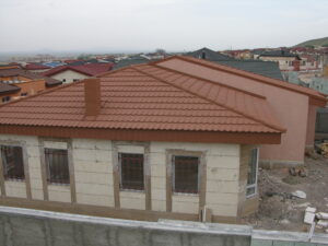 DSCN6602